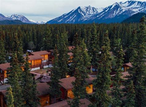 Denali Cabins | National Park Reservations