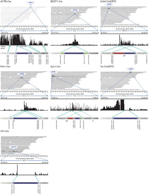 Efficient mapping of transgene integration sites and local structural ...