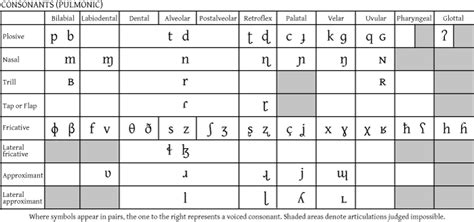 Apa Itu Vowel Dan Consonant Chart Ipa - IMAGESEE