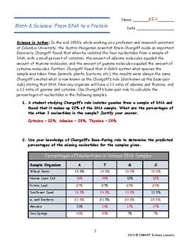 Chargaff's Rule Practice Worksheet Answer Key 30+ Pages Answer [1.6mb ...