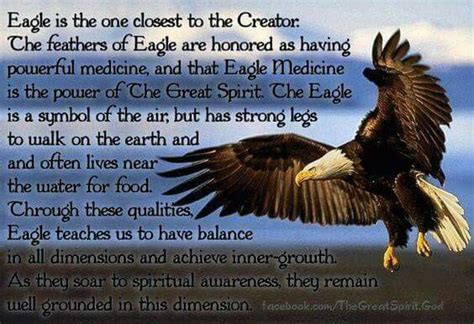 Falcon Images: Golden Eagle Native American Symbolism