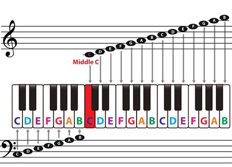 The musical staff, clefs and the middle C note