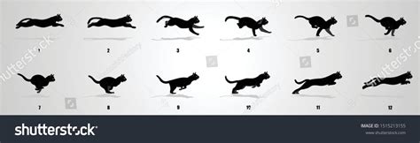 Cat Run Cycle Animation Sequence Animation Stock Vector (Royalty Free ...