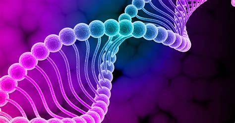 What is Genetics and Variation? - Scholars Globe