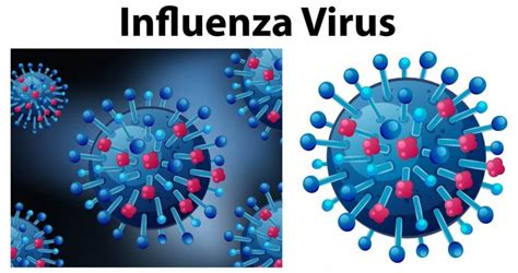 Influenza Has Virtually Vanished And We Know Why! - https://alternative ...