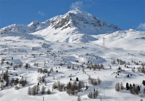 Diavolezza Lagalb Ski Resort Info Guide | Diavolezza-Lagalb Switzerland ...