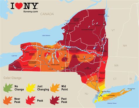 Fall Foliage in New York | Autumn Leaves, Scenic Drives