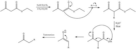 Acetoacetic ester synthesis - Wikipedia