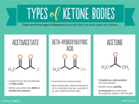 What Are Ketones? - Perfect Keto