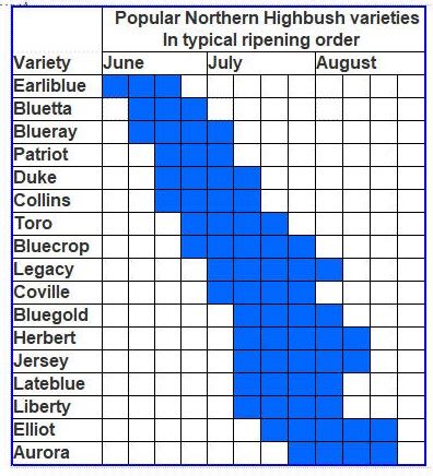 Highbush Blueberry Varieties Chart