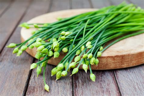 Garlic Chives: The Herb For A Milder Garlic Flavor