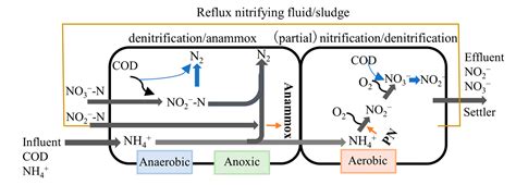 Water | Free Full-Text | Analysis of the Partial Nitrification/Anammox ...