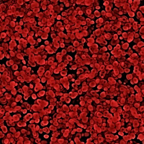 Excellent background image of red blood cells under the microscope