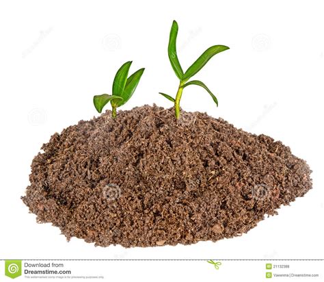 14+ Soil Clipart - Preview : Soil Clipart | HDClipartAll