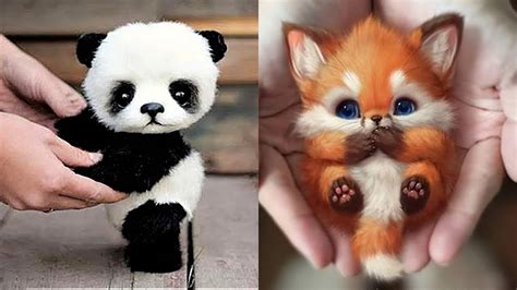 10 Cutest Baby Animals That Will Make You Go Aww Youtube - Riset