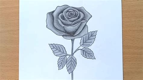 How to Draw A rose || Pencil Drawing and Shading - YouTube