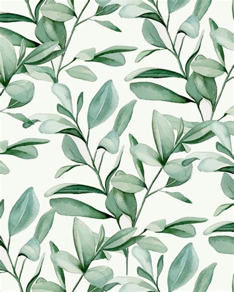 Watercolor Eucalyptus Leaves | Flower background wallpaper, Watercolor ...