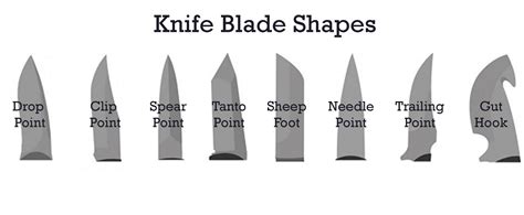 Knife Blade Types Guide - Best Knives Reviews