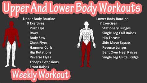 Weekly Upper And Lower Split Workout, Exercise Routine With Dumbbells ...