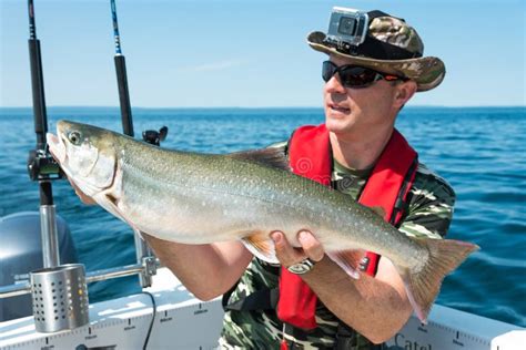 Arctic Char Fishing in Summer Stock Image - Image of silver, angling ...