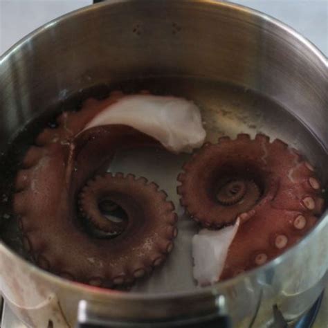 DEEP-FRIED OCTOPUS AND PLUM SAUCE RECIPE