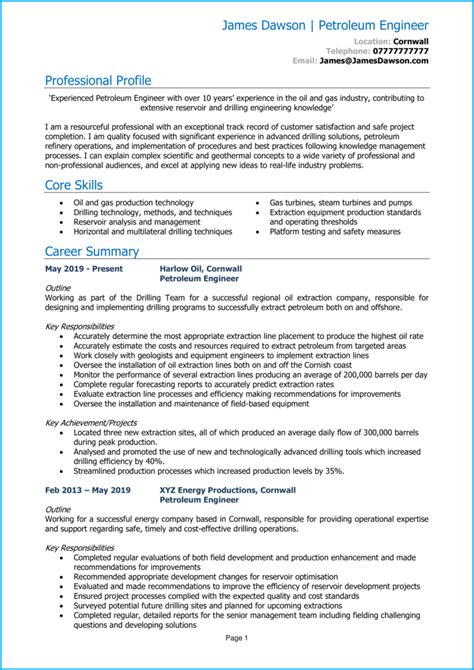 Petroleum Engineer CV example + guide [Get hired]