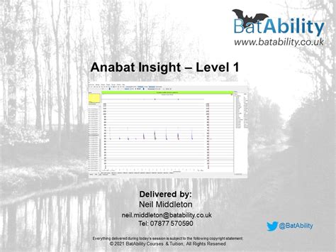 Anabat Insight Software – Level 1