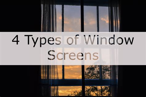 4 Types of Window Screens - METRO SCREENWORKS