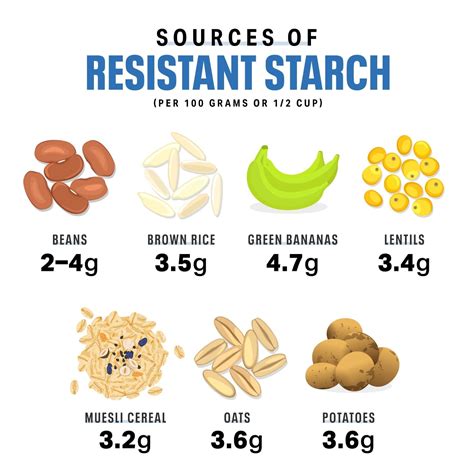 What are some examples of resistant starch? [2022] | QAQooking.wiki