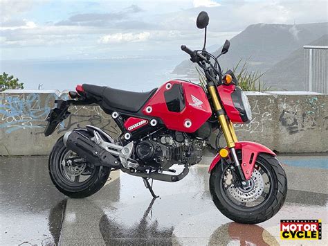 HONDA GROM | GOING, GOING, GROM - Australian Motorcycle News