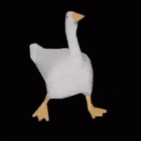 Duck Dance GIF - Duck Dance Epic - Discover & Share GIFs