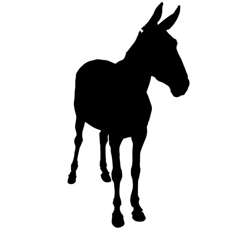 mule vector eps - Download Free Vectors, Clipart Graphics & Vector Art