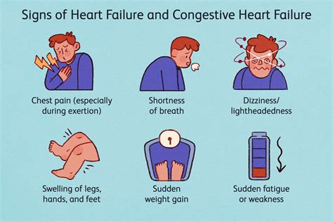 Congestive Heart Failure vs Heart Failure: Symptoms, Prevention