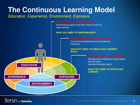 46 The Continuous Learning Model