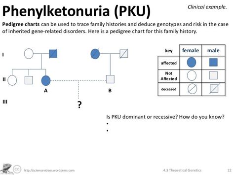 Theoretical Genetics