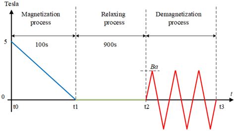 Sketch for the magnetization and demagnetization process. From t0 to ...