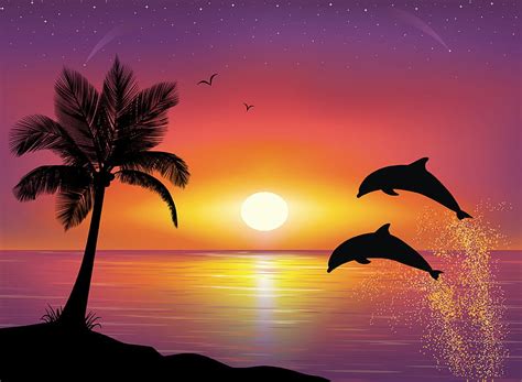 1920x1080px, 1080P free download | Dolphin's Paradise, art, dolphin ...