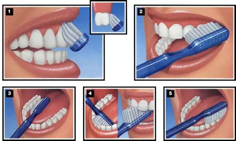 What toothbrush is the RIGHT toothbrush? - First Impressions Family ...