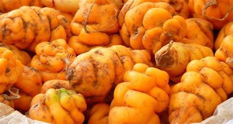 The fascinating history behind Peru's humble potato