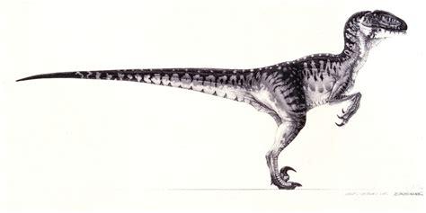 Jurassic Park Raptor Concept Art