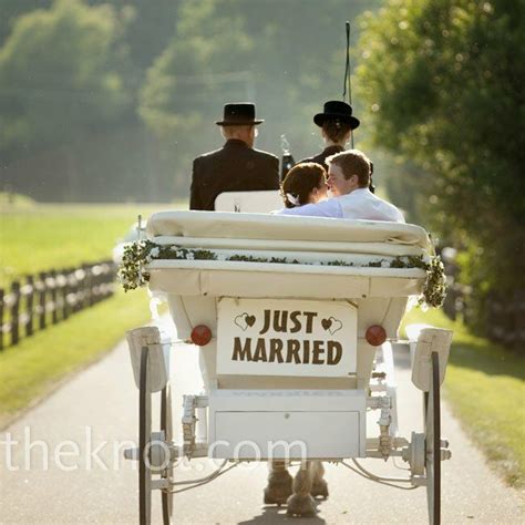 Wedding Horse-Drawn Carriage