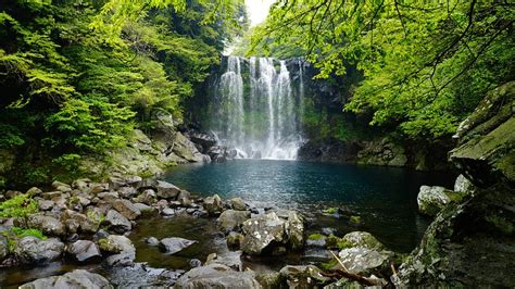 Cheonjiyeon waterfall Jeju island, Korea. | Free Photo - rawpixel