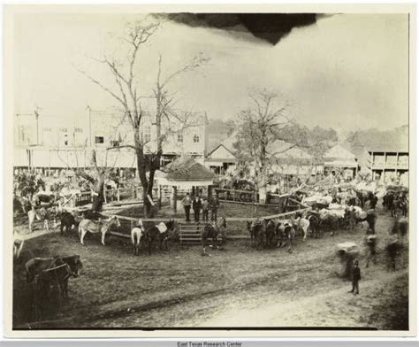 Nacogdoches Public Square, 1898 | Photo, Nacogdoches, Nacogdoches texas