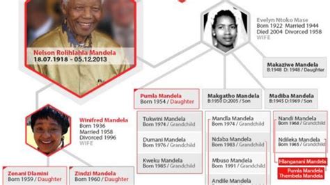 Nelson Mandela's Family Tree | Nelson mandela family, Family tree, Mandela