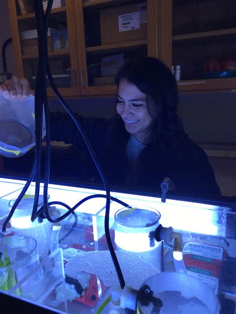 Chemistry in a Marine World | Coastal and Marine Sciences Institute