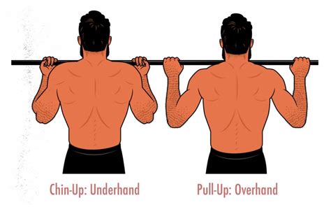 What's The Difference Between Chin-Ups & Pull-Ups? Which is Better?