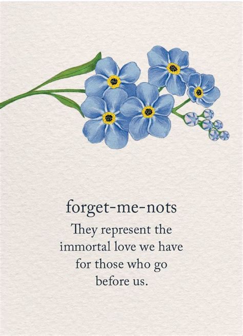 Pin by Pat Gladstone on Missing you | Language of flowers, Flower ...