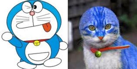 Doraemon | Doraemon | Know Your Meme