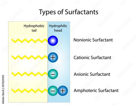 Types of Surfactants, compounds that lower the surface tension between ...