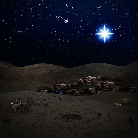 Christmas Scene Bethlehem Night Backdrop for Nativity – Backdropsource